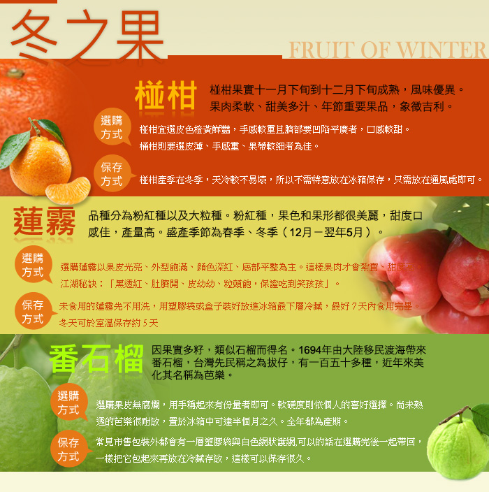 冬之果